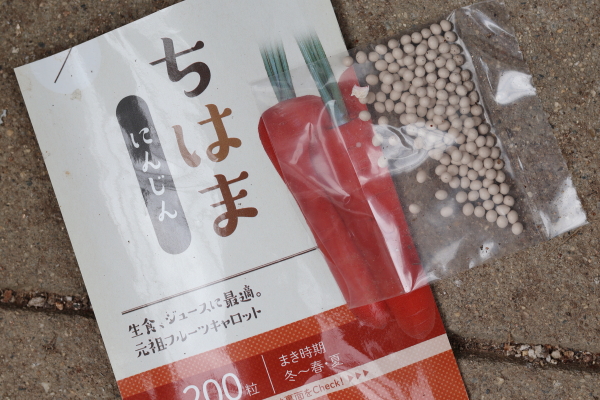 ちはまにんじんの種まき