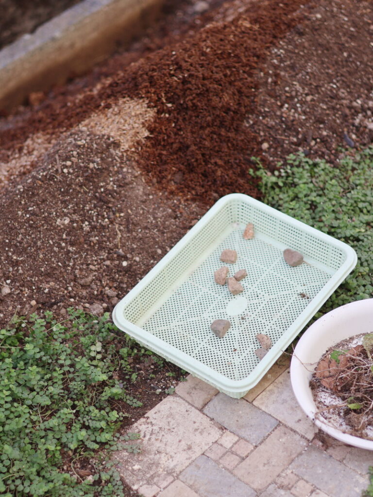 お馬のたい肥（馬糞堆肥）を花壇に漉き込む。出てきた石は取り除く。