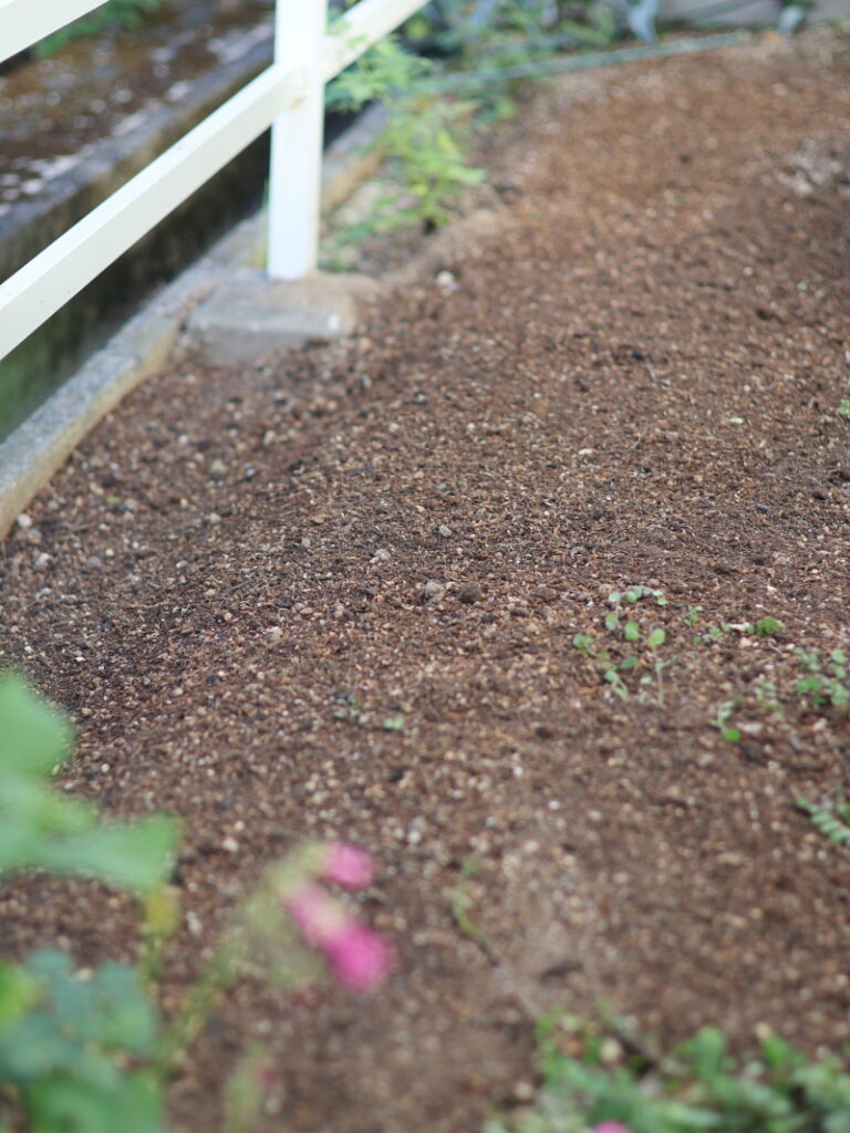 お馬のたい肥（馬糞堆肥）で土壌改良した花壇の様子