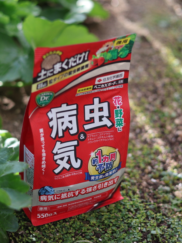 春、害虫が本格的に動く前に散布するおすすめの薬剤