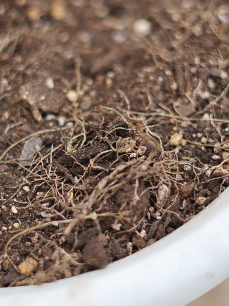 古い土の再生方法