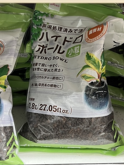 ダイソーのハイドロボール小粒を使ってエケベリア・メアリーベルを植え替えた